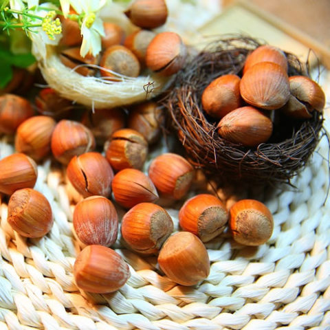 Hazel Nut in Shell - Spice N Nuts