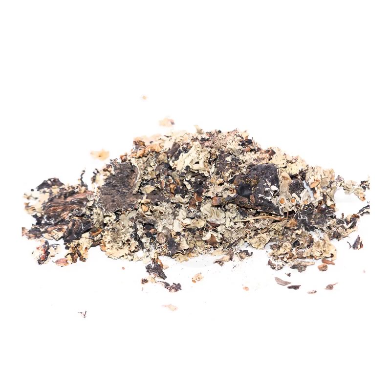 Stone lower (Dagad Phool / Kalpasi)