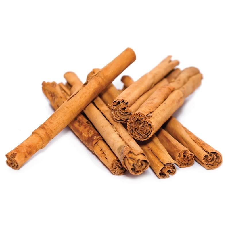 Bunch of Ceylon cinnamon sticks from Sri Lanka