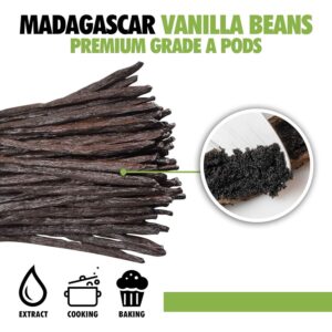 12 Organic Madagascar Vanilla Beans Grade A