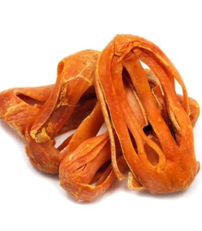mace joyotri