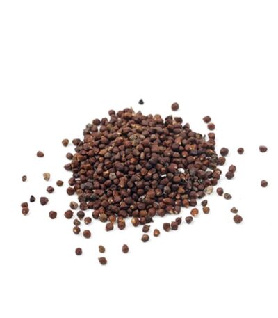 Grains of Paradise